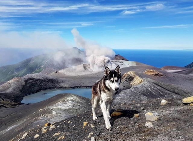 Volcanoes are scary, but beautiful... - Volcano, Kurile Islands, Sakhalin Kuril Islands, Travels, Longpost, Sakhalin, Ebeko Volcano, Raikoke Volcano, Tyatya Volcano