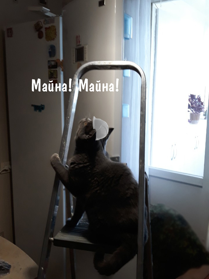 �����! �����!