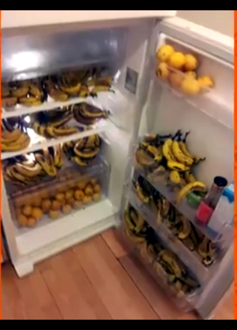 Why so many bananas and oranges? - Banana, Refrigerator, Orange