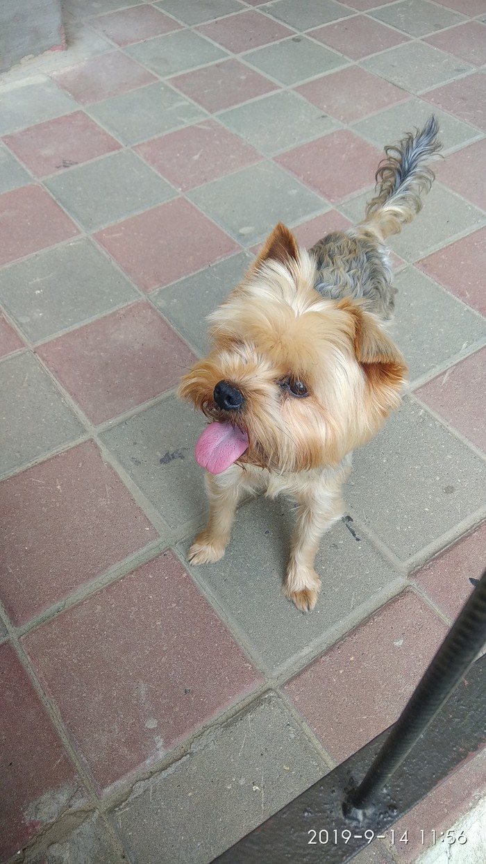 ������ ��! ������