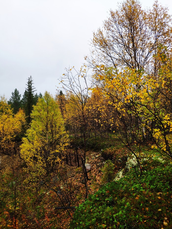 Осенняя пора Осень, Пейзаж, Мурманск, Длиннопост