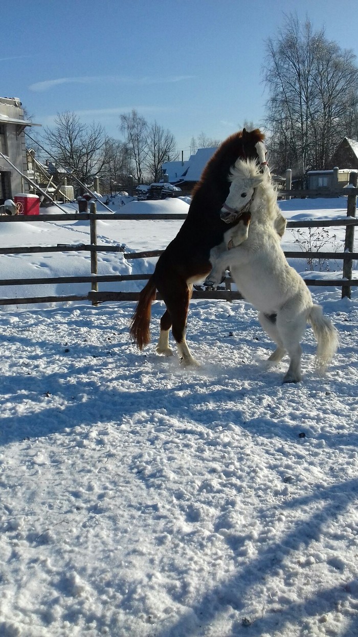 ����/����. ��������� ������. ����� 18 ��� ���� ���������.