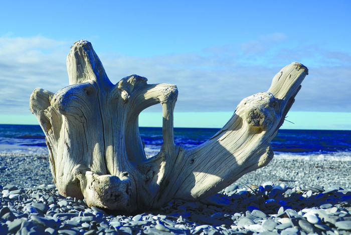 Coast of the Kara Sea - My, Arctic Ocean, Kara Sea, Sculpture, The photo