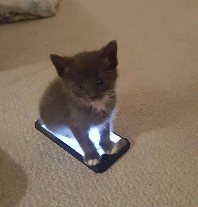 Греется малыш