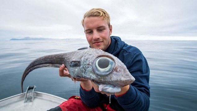 Странная рыба с большими глазами поймалась в Норвегии