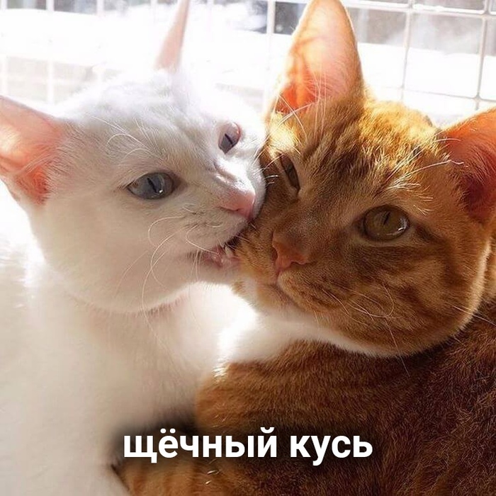 156880028813986095.jpg