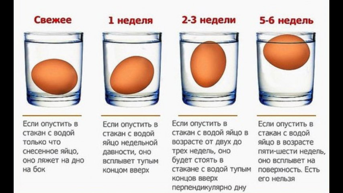 Бытовой инкубатор для цыплят утят 45 яиц Золушка ручной поворот