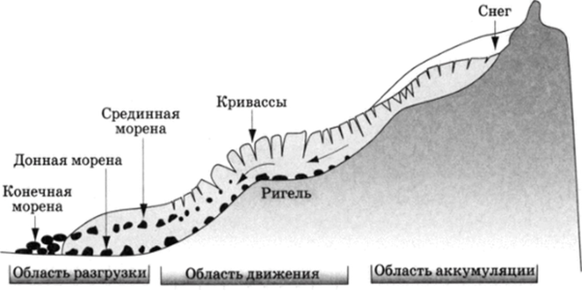 Какой природный процесс отображен на схеме снеговая линия фирновый бассейн