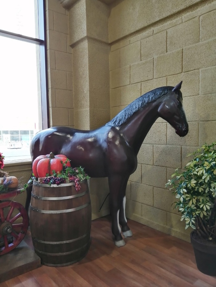 Плотва, ты тут зачем?