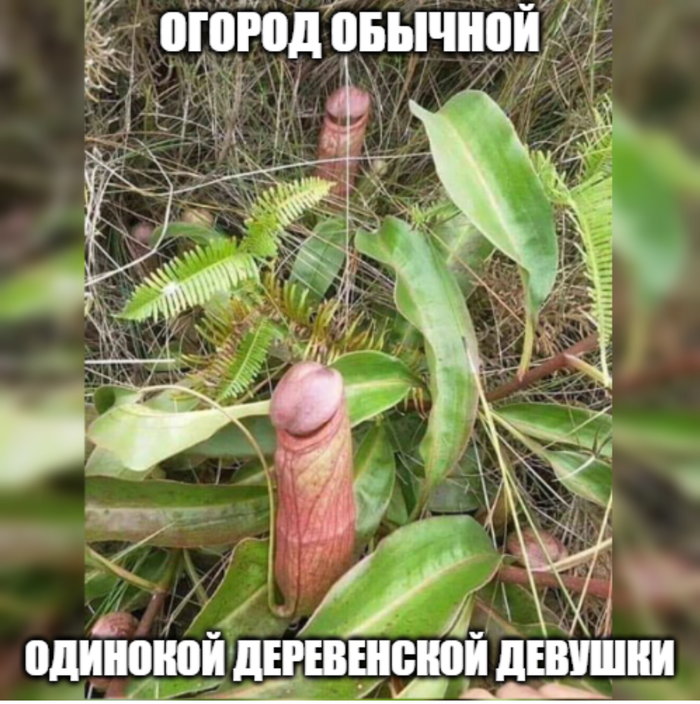  #28 , , ,   