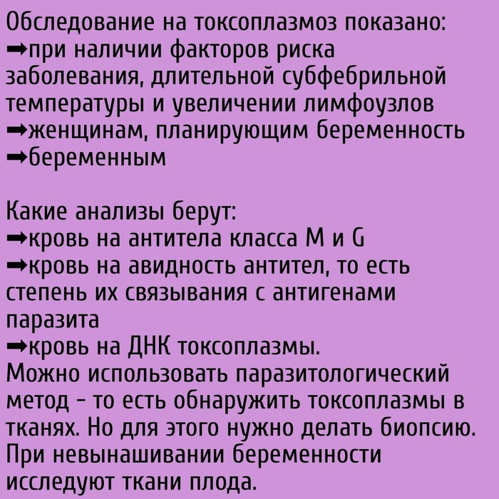 У вас есть кошка? - Моё, Инфекционные болезни, Токсоплазмоз, Длиннопост, Инфекция