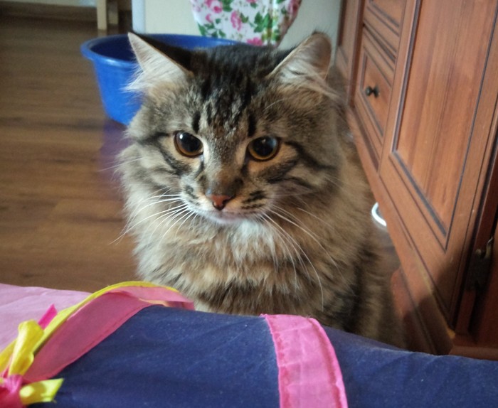 ����� ������� ����. ��� ��������� �� ����������?