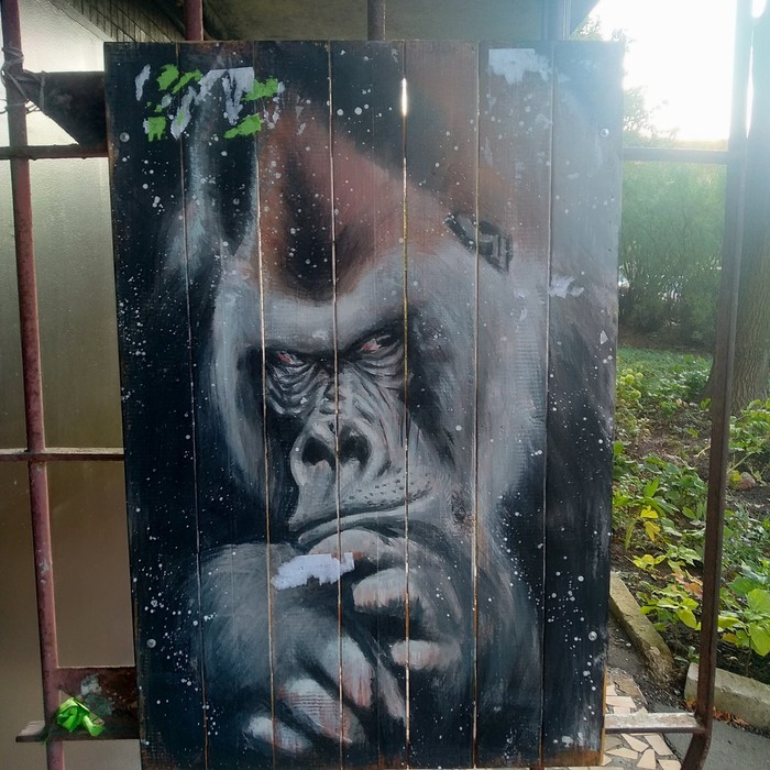 driveway painting - My, Gorilla, Saint Petersburg, Painting, Graffiti