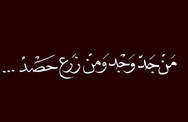 Whoever tries will find, and whoever sows will reap. - My, Arabic language, , Motivation