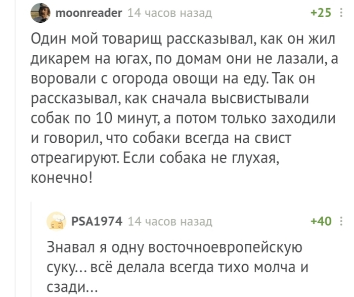 Бывшая? - Юмор, Комментарии на Пикабу, Бывшая, Бывшие