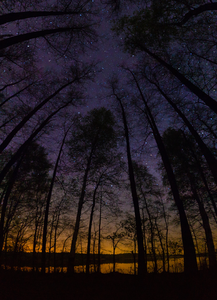 Higher and higher, to the very stars. Ryazan Oblast. - My, Astrophoto, Forest, Lake, Night, Stars, Hobby, Space, Stars