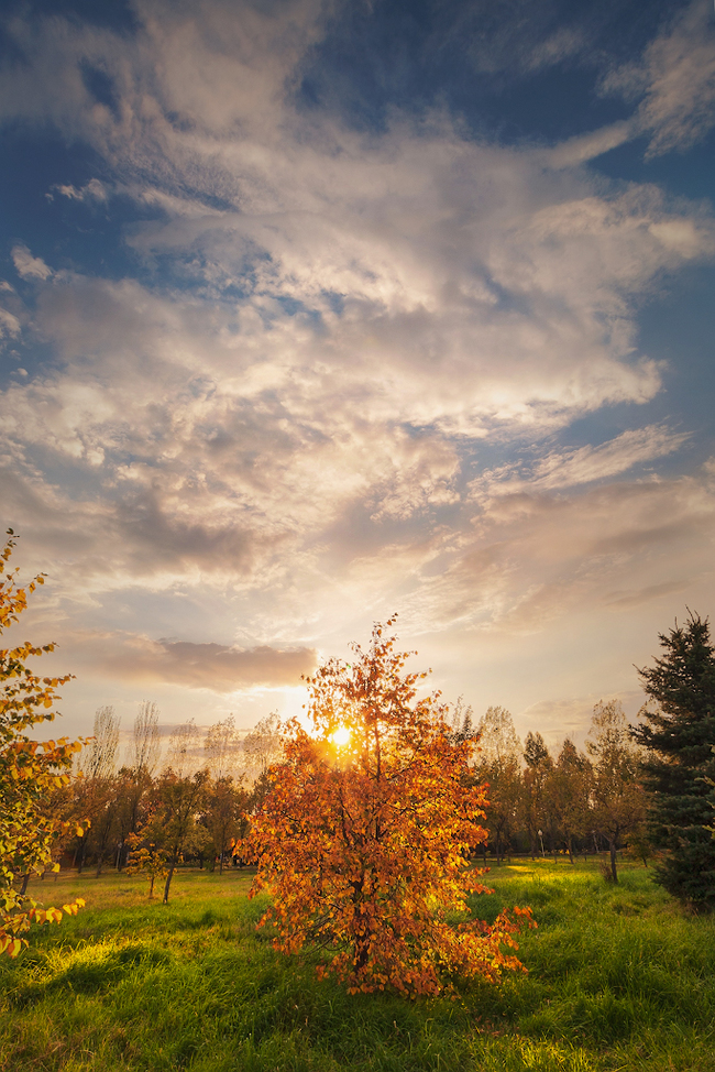 Evening in the autumn park. - My, Autumn, Almaty, Landscape, Evening, Canon, Longpost