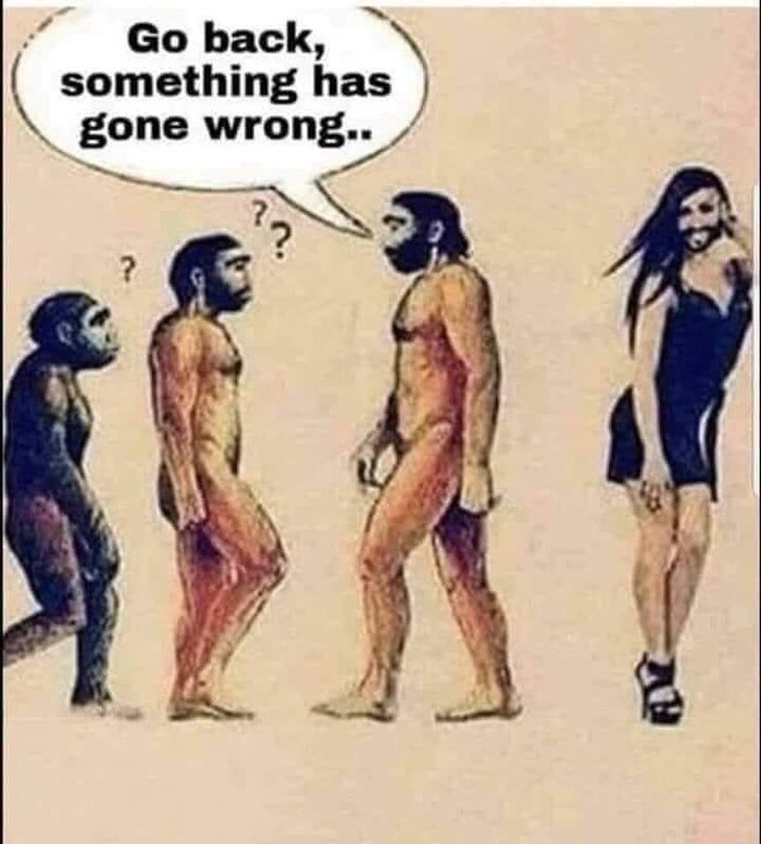   , ... , , ,  , 