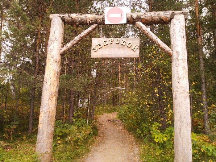 Walks in the Novosibirsk region - My, Eco-trail, Novosibirsk, , The rocks, Longpost