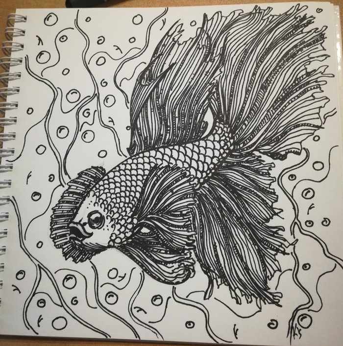 Fish... Golden - My, Drawing, Gold fish, Graphics