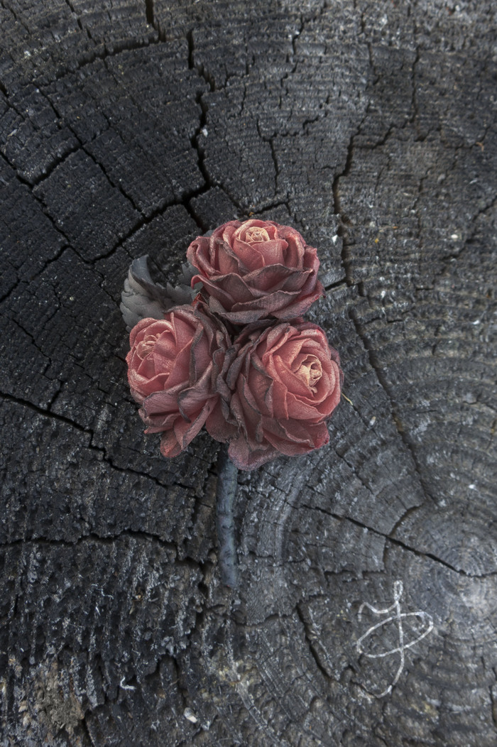 Roses from foamiran. - My, Needlework without process, Foamiran, Longpost