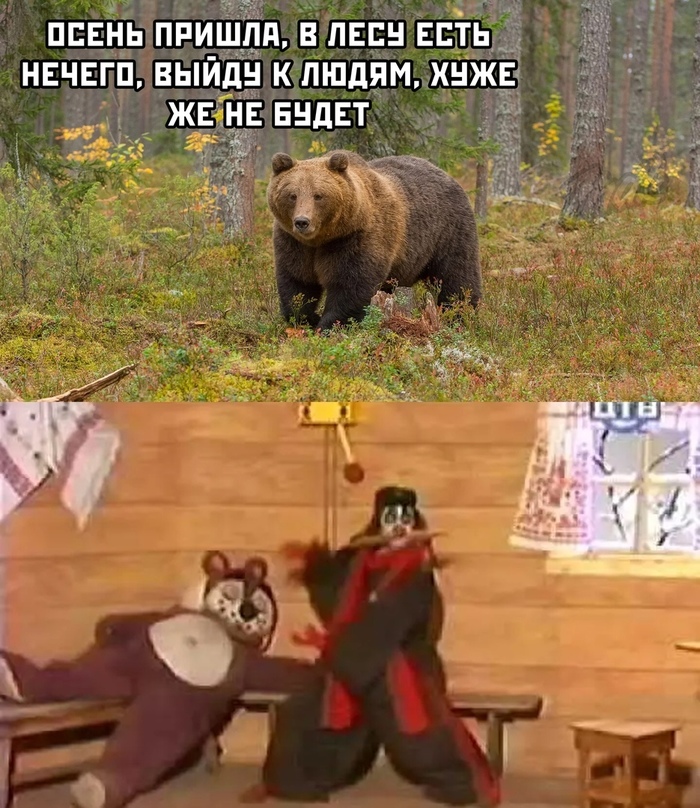 Get out of the den - Memes, Humor, The Bears, Pun, Fools village