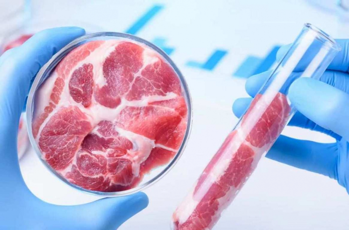 И люди сыты и овцы целы Мясо, Синтез, Наука, Длиннопост И люди сыты и овцы целы Мясо, Синтез, Наука, Длиннопост