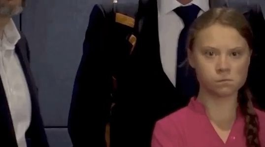 PIT - Greta Thunberg - Politics, Summit, UN, Video, GIF, Mat, Longpost, Greta Thunberg, Olga Misik