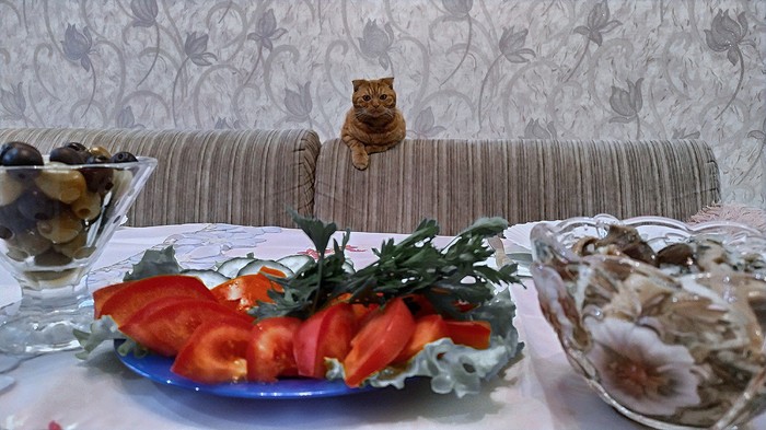 Когда ты уже отвернешься?