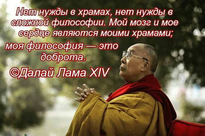 Kindness - Philosophy, Temple, Kindness, Dalai lama, Brain, Heart