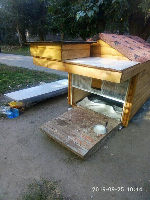 A cat house appeared in Zaporozhye ^_^ - The photo, cat, cat house, Zaporizhzhia, Care, Longpost
