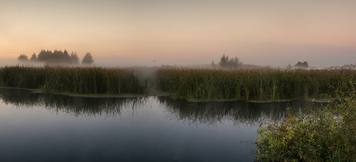 Early in the morning - My, The photo, Beginning photographer, Tambov, Tambov Region, Tsna river, Morning, Fog, Fishermen, Longpost