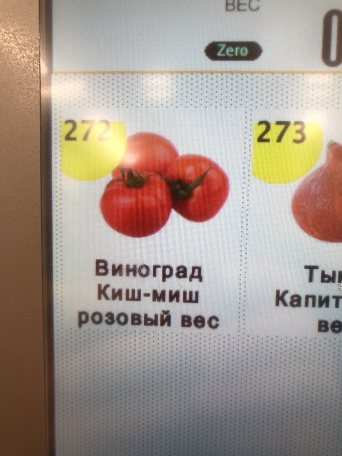 �����-�� � ��� �������� ��������������