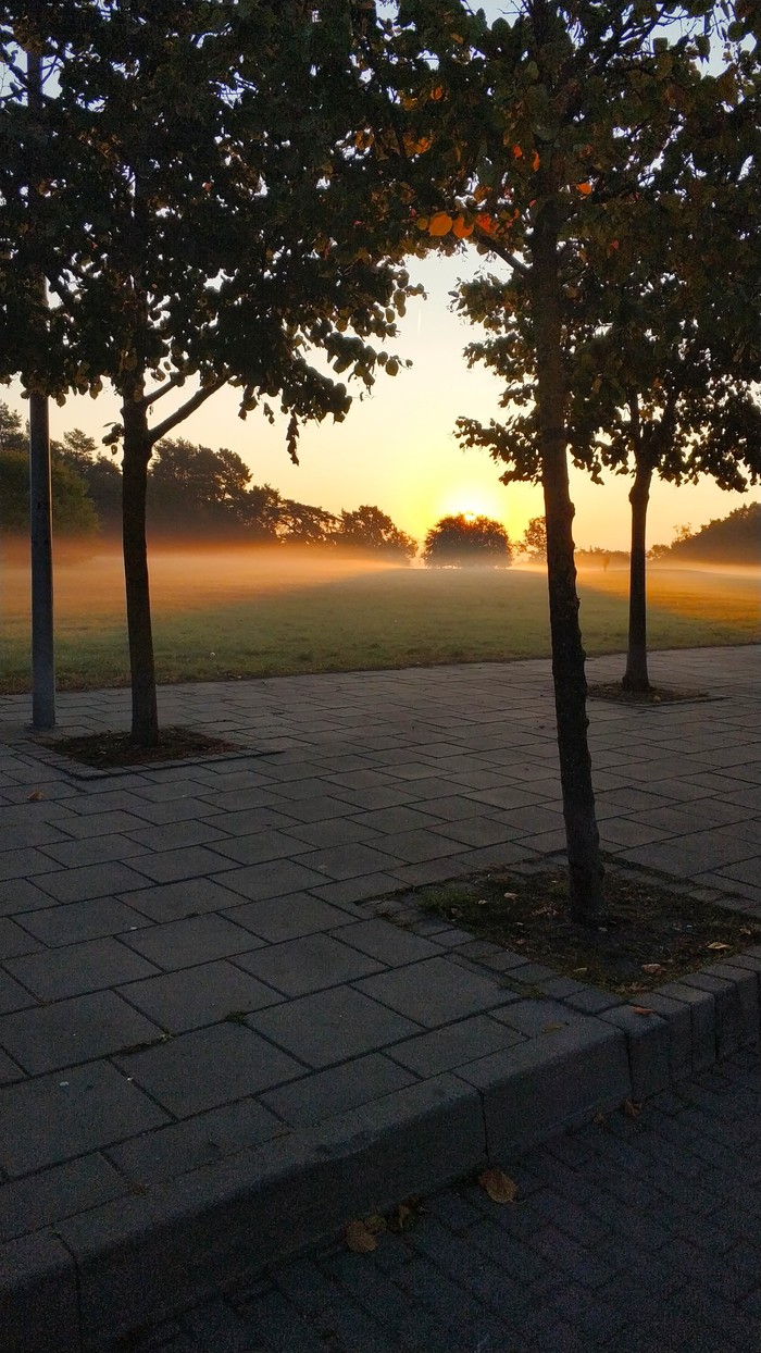 Morning Vilnius - My, The photo, Fog, dawn