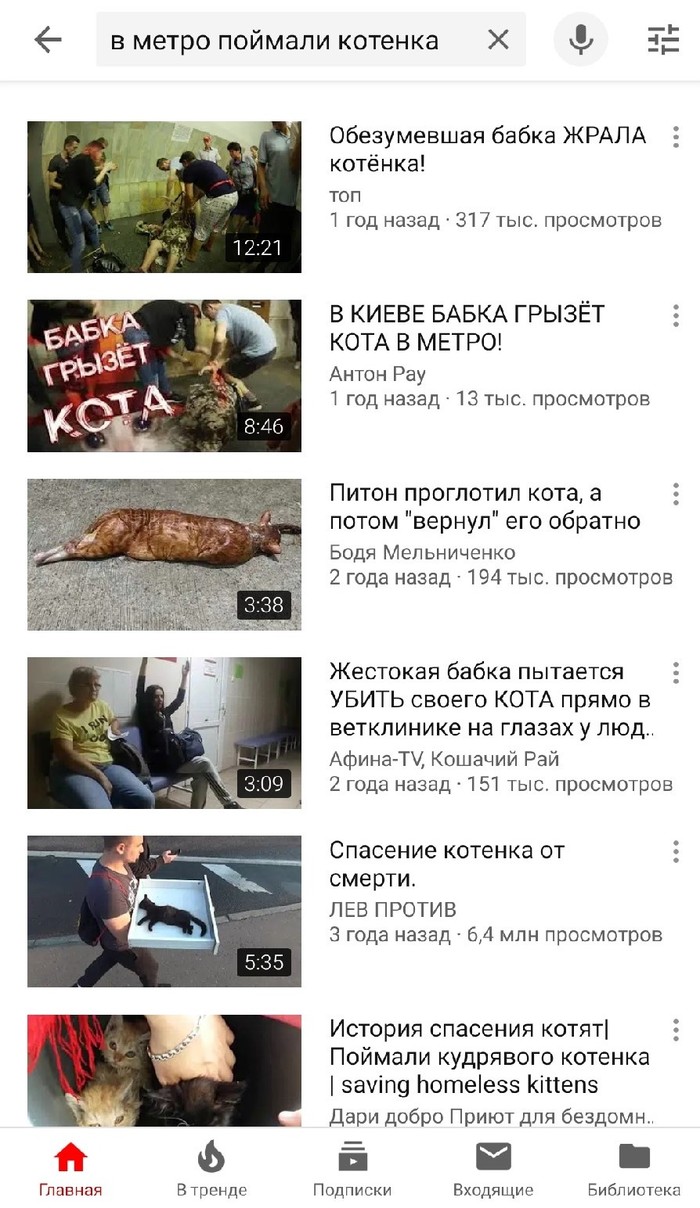 Kote pricked up - My, Metro, cat, Catomafia, The rescue, Youtube, Search engine