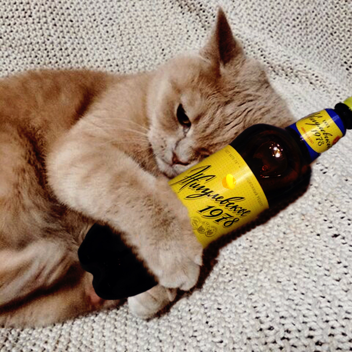 �������� ��������� ����� �������