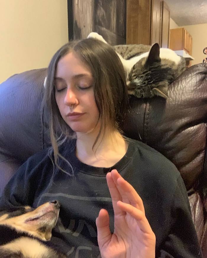 Случайный ренессанс | Пикабу