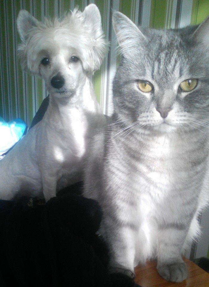 ������ �� �������������....