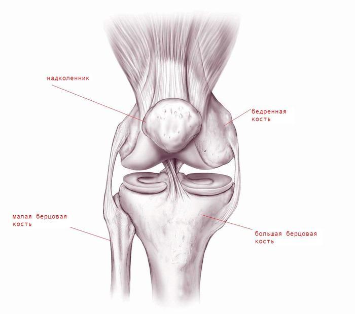 Arthroscopy - My, The medicine, Medicine in Russia, Longpost, Arthroscopy