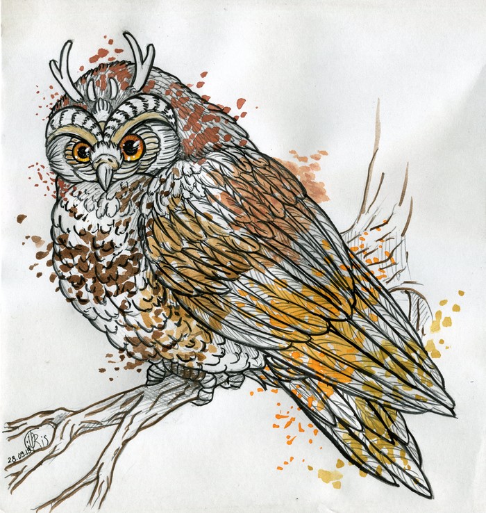 Horned owl. Spirit of the forest. - My, Drawing, Sketch, Watercolor, Simple pencil, Owl, Horned owl, Spirit of the forest