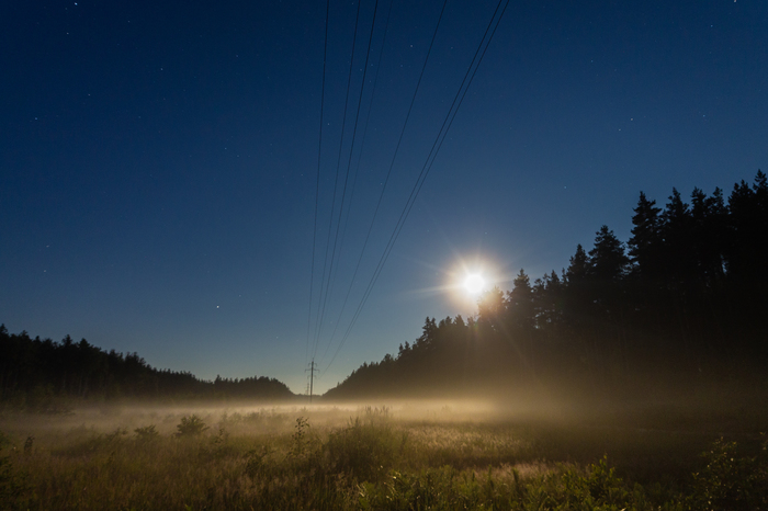 Fog in a forest clearing on a full moon. - My, Fog, Forest, Polyana, Full moon, Astrophoto