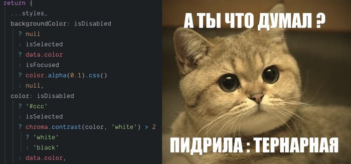 Котики vs CSS.. Кто там любит тернарные? - CSS, Css3, Программирование, Ide