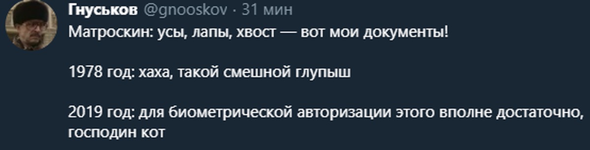 Усы лапы и хвост вот мои документы картинка