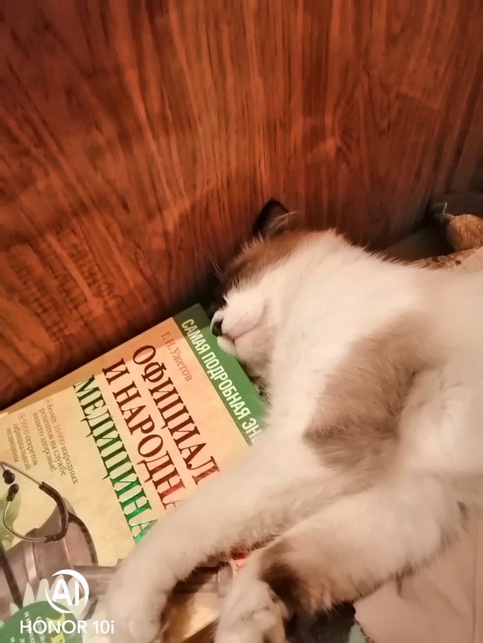 ��� � �������� ��������