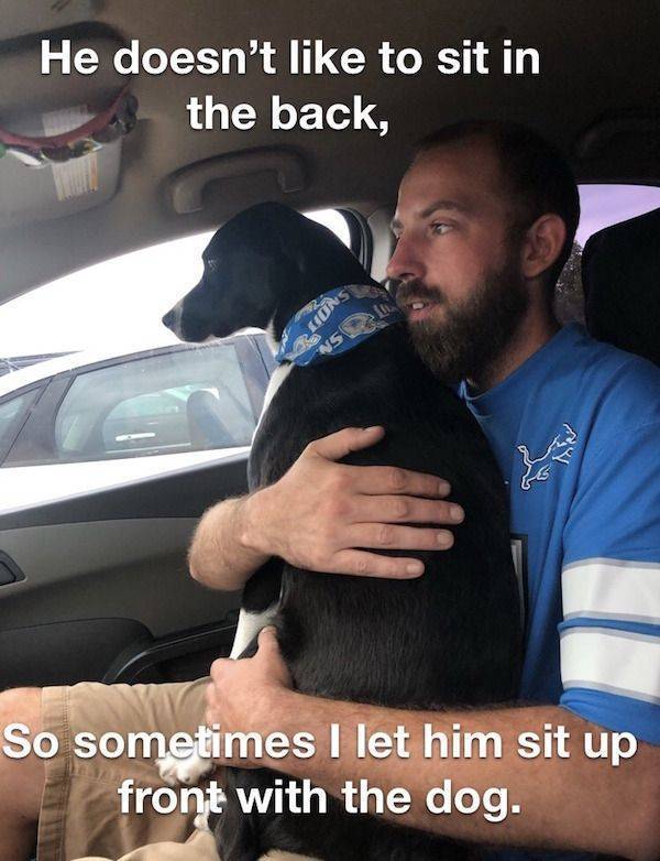 Priorities - Dog, Auto, Drive, Seat, Picture with text