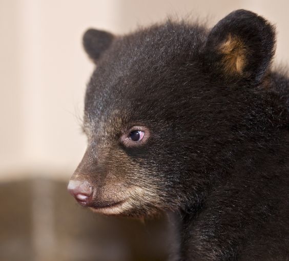 Такой маленький, а уже такой серьезный