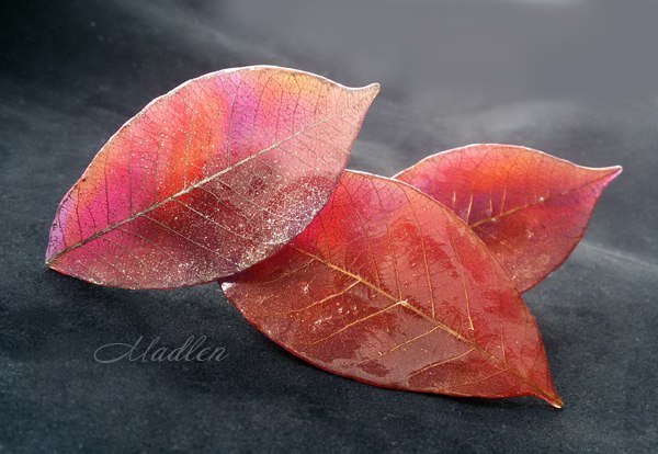 How beautiful autumn leaves are, I want to admire them endlessly ... brooches and a hairpin. - My, Creation, Leaves, Brooch, Decoration, Handmade, Barrette, Needlework without process, Polymer clay