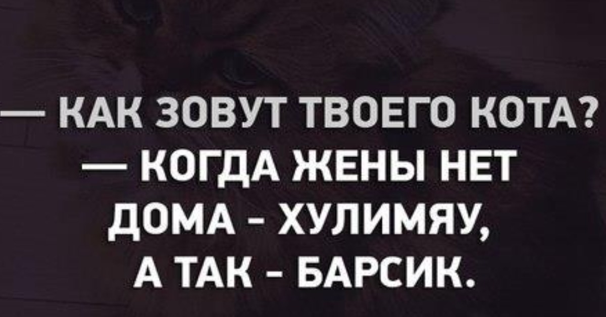 Как зовут вашего кота. Как зовут твоего кота когда жены. Кудасука и Хулимяу. Как зовут вашего кота анекдот. Кот Хулимяу анекдот.