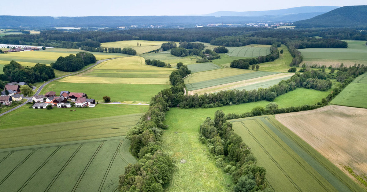 Зеленые сельские поселения. Зеленые пояса Великобритании. Green Belts в Англии. Зеленый пояс Германии. Зеленый пояс вокруг Лондона.