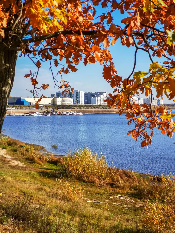 Autumn colors - My, Mobile photography, Huawei mate 20, Autumn, Video, Longpost, Dzerzhinsk